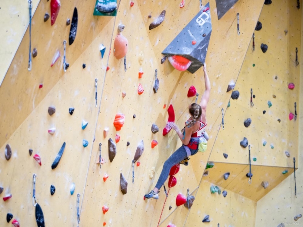 19-St. Gallen Rheintal Cup Lead _ Speed 07-2017 170-1.jpg